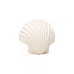 Teething ring scallop shell white