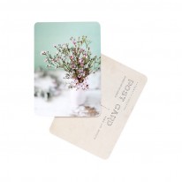 Cinq Mai  Post card Flowers and mint