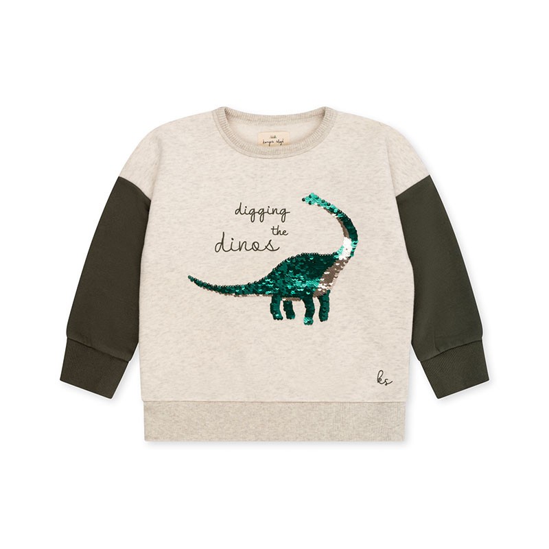 Boys sale sequin sweatshirt