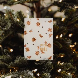 Carte de Noël star anise Bonjour Little