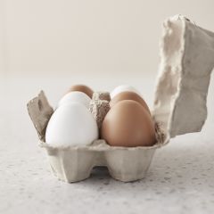 Box eggs Kids Concept