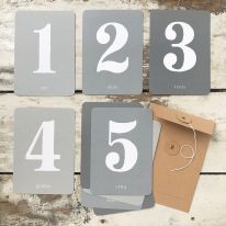 Baby’s first months kit " my numbers" CInq Mai