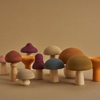 Mushrooms Raduga Grez