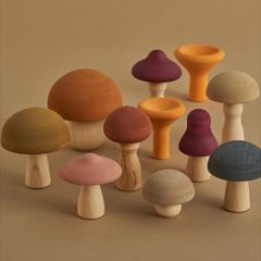 Mushrooms Raduga Grez
